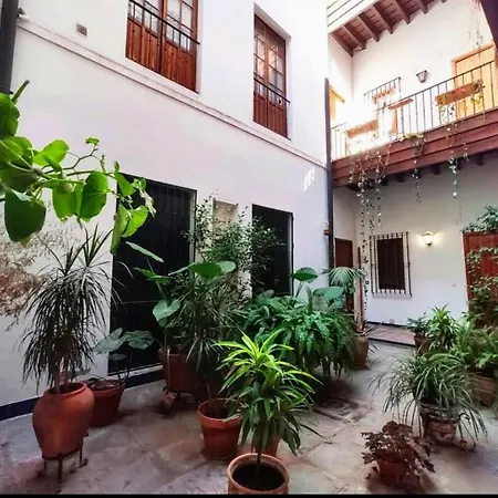 Apartment Casa Coco Urban