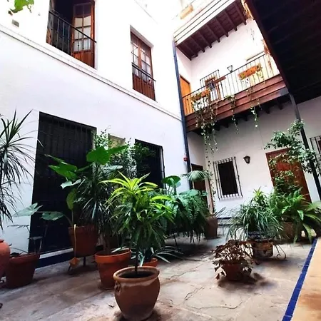 Casa Coco Urban Apartment